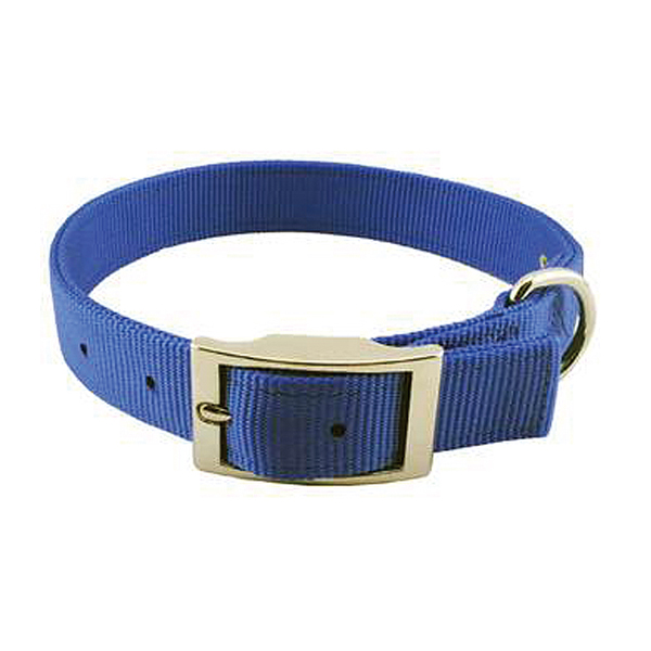 Premium Classic Nylon Dog Collar