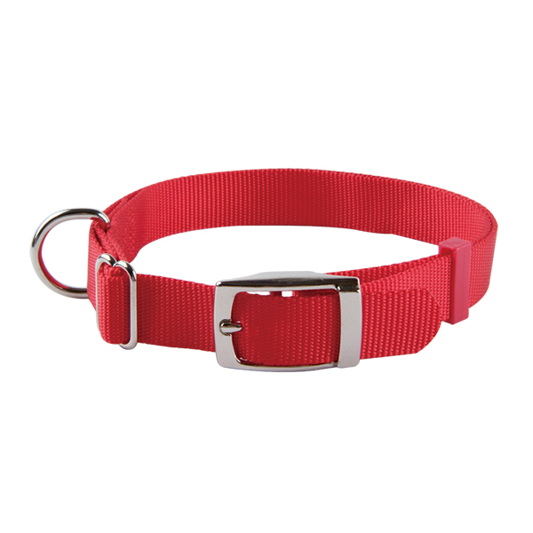 Adjustable Nylon Dog Collar