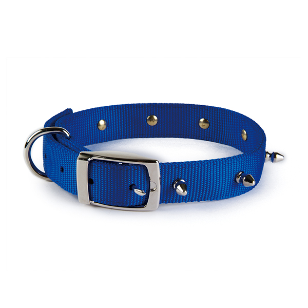 Spiked Nylon Dog Collar