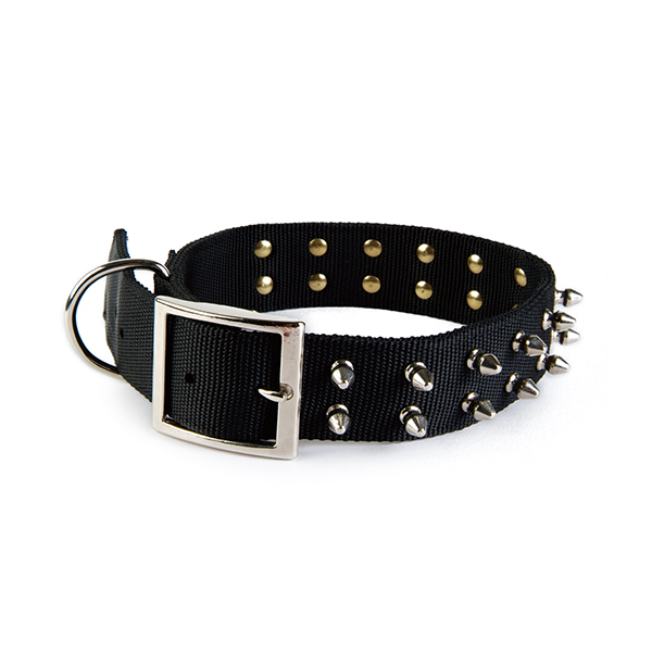 Spiked Nylon Dog Collar