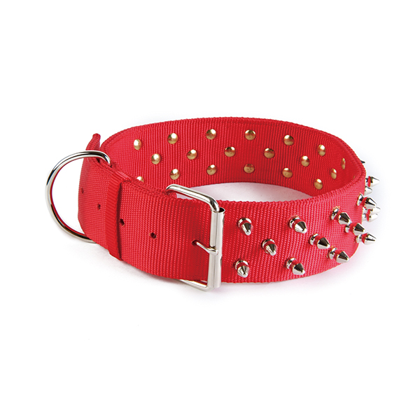 Spiked Nylon Dog Collar