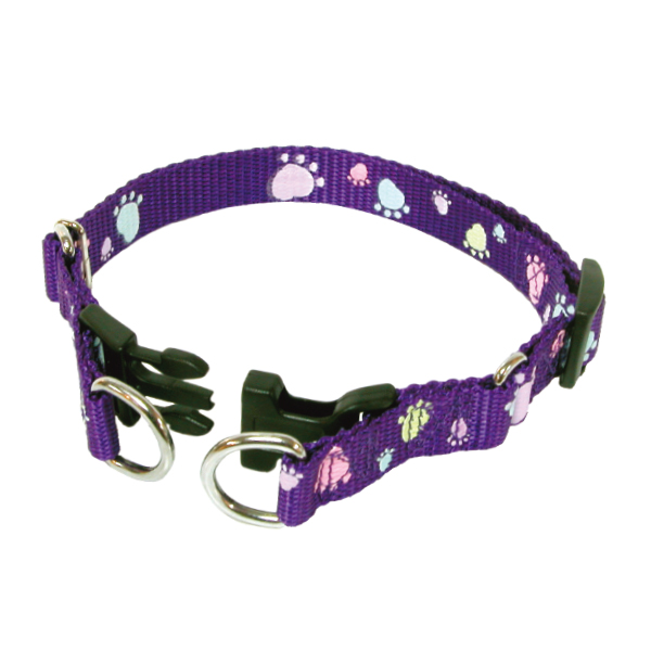 Luminous Adjustable Nylon Dog Collar