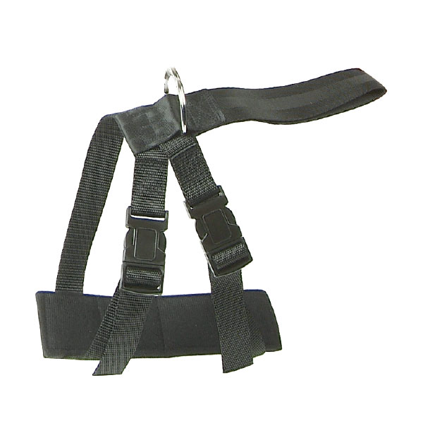 Adjustable Harness