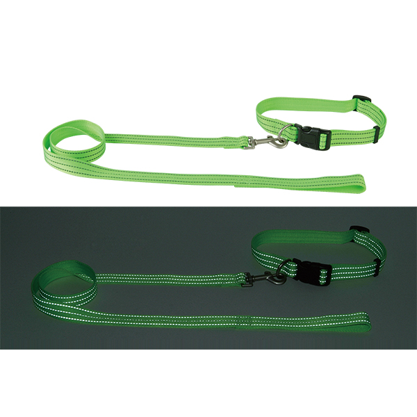 Reflective Nylon Dog Collar