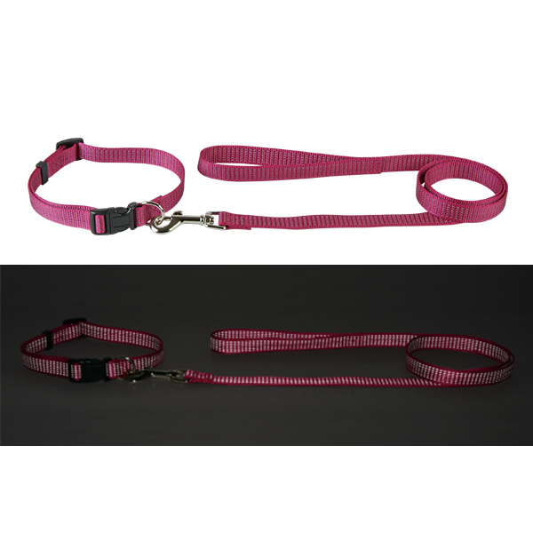 Reflective Nylon Dog Collar