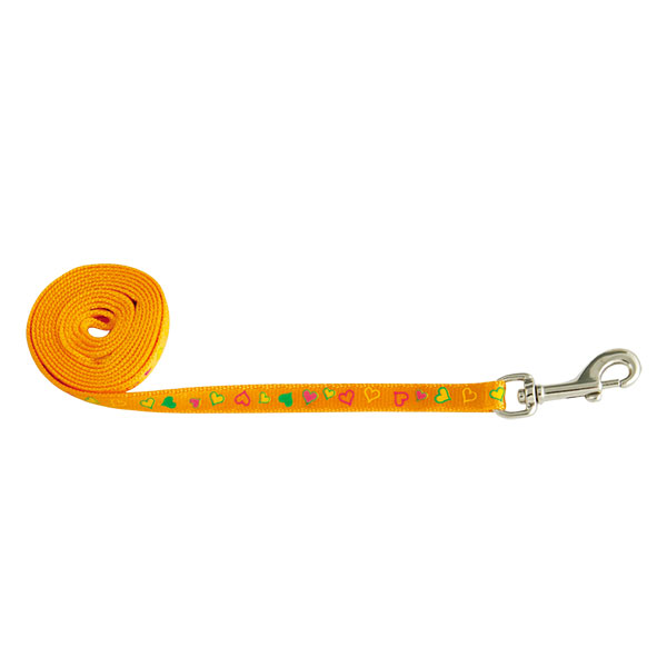 Tape Printing Nylon Cat Leash