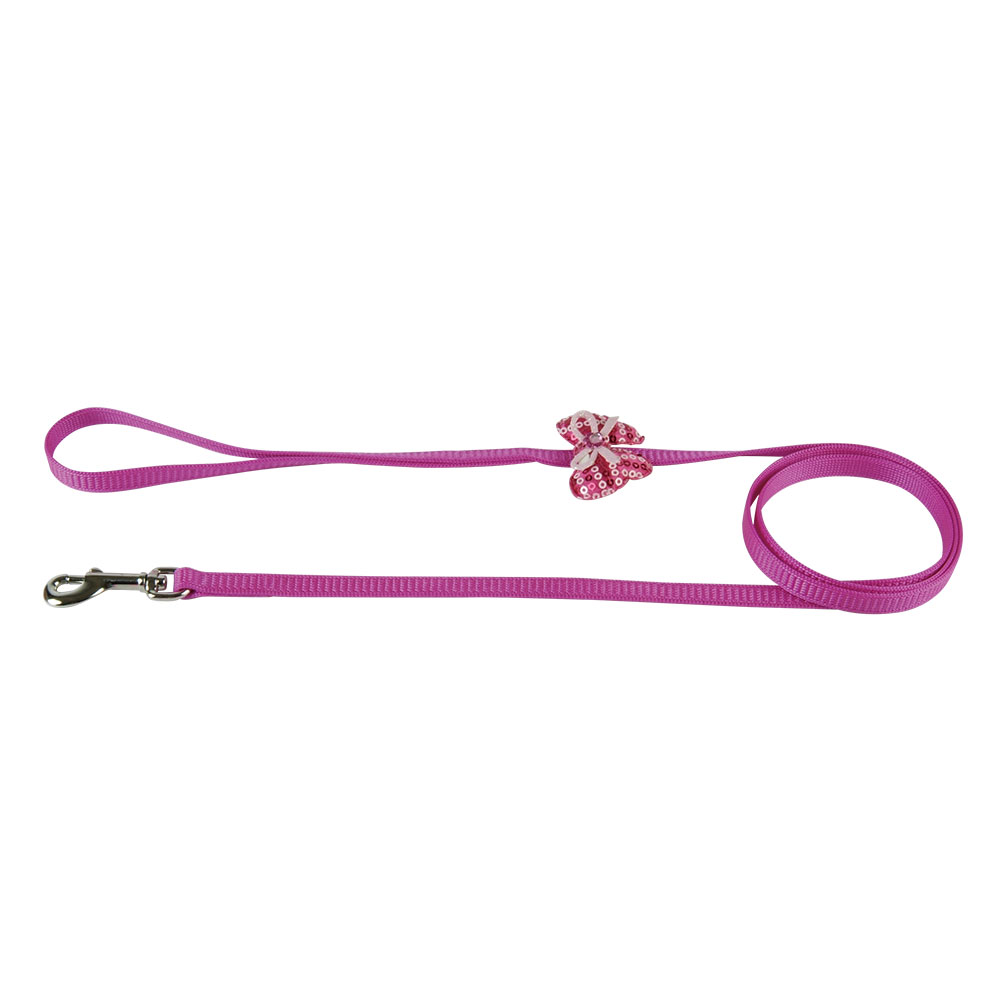 Nylon Webbing Puppy Leash