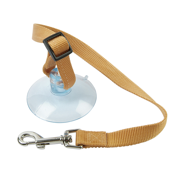 Bath Restrain Leash