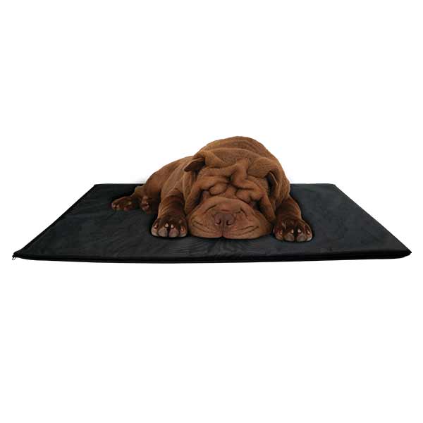 Pet Mattress, Waterproof Memory Foam