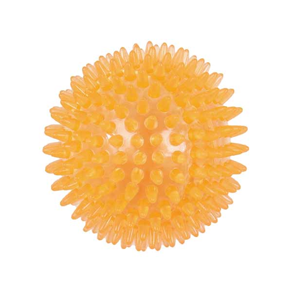 Hedgehog Ball