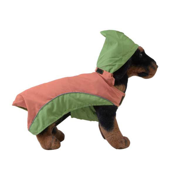 Dog Apparel