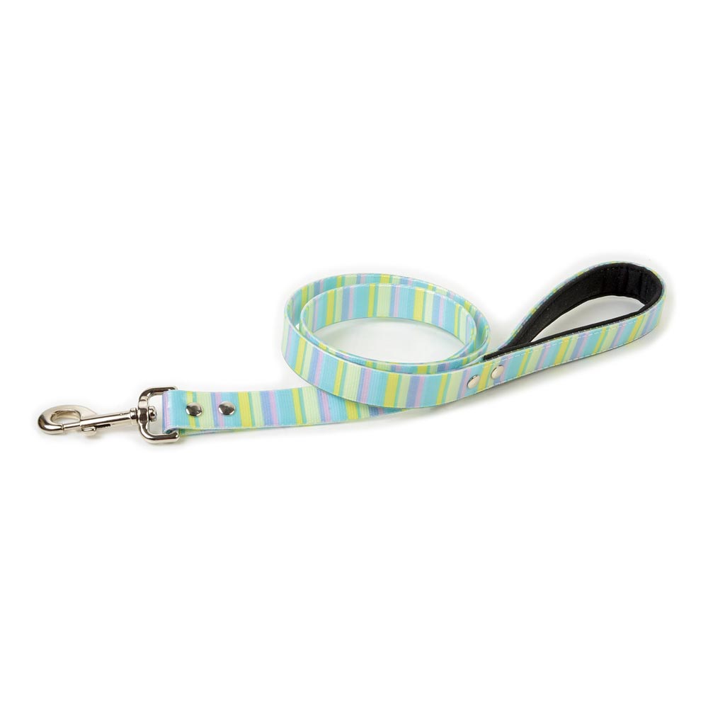 Decorative TPU Leash