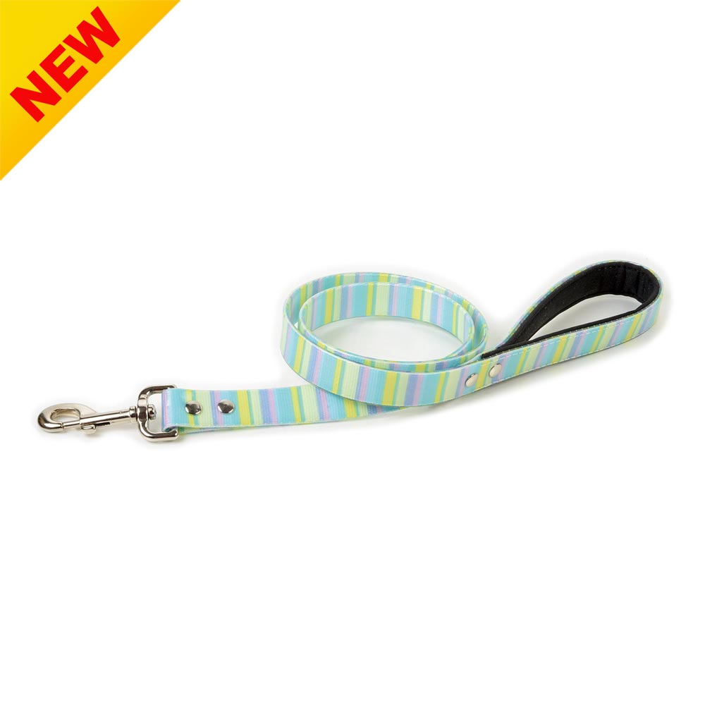 Decorative TPU Leash