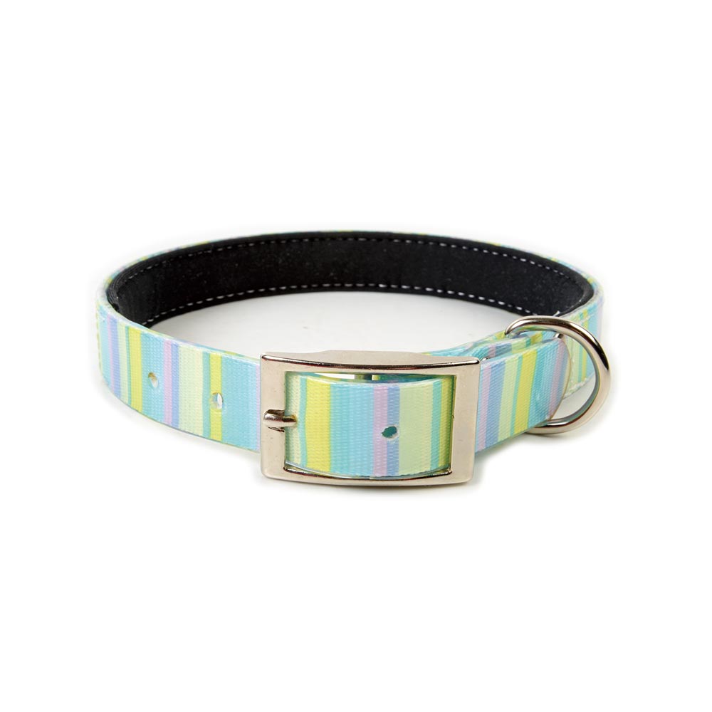 Decorative TPU Dog Collar