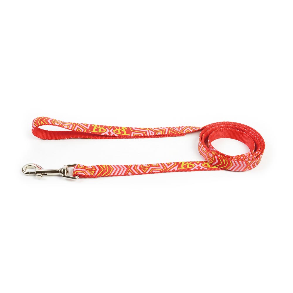 Dog Leash