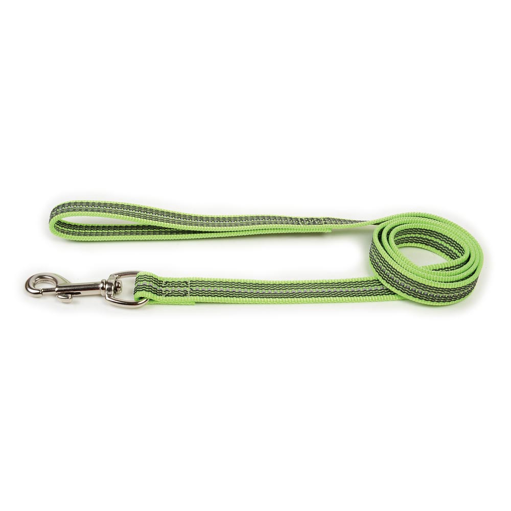 Reflective Rubberized Nylon Leash