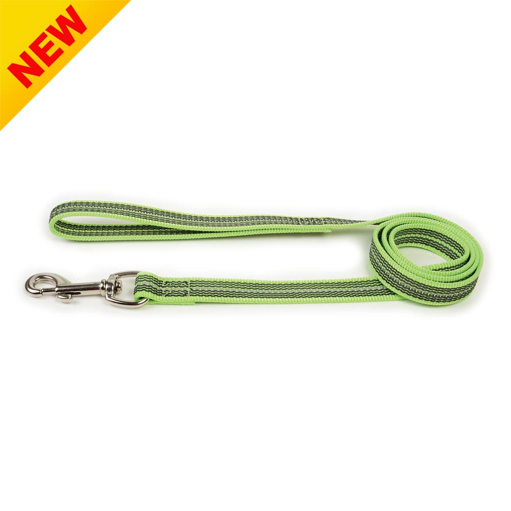 Reflective Rubberized Nylon Leash