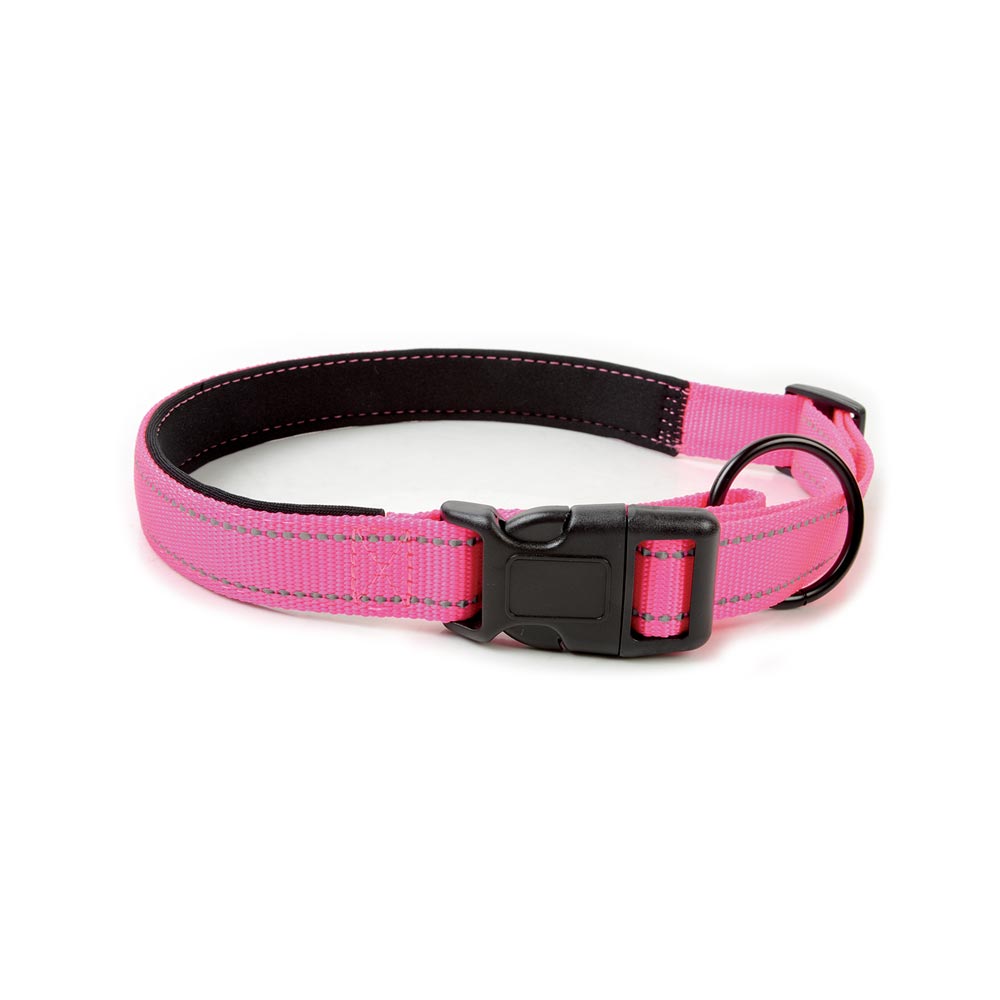 Reflective Nylon Dog Collar