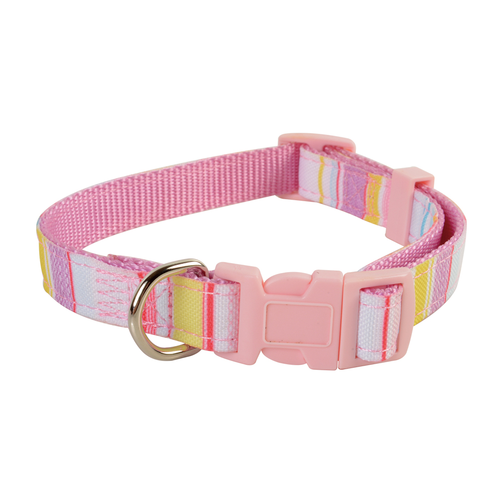 Printed Webbing Overlay Dog Collar