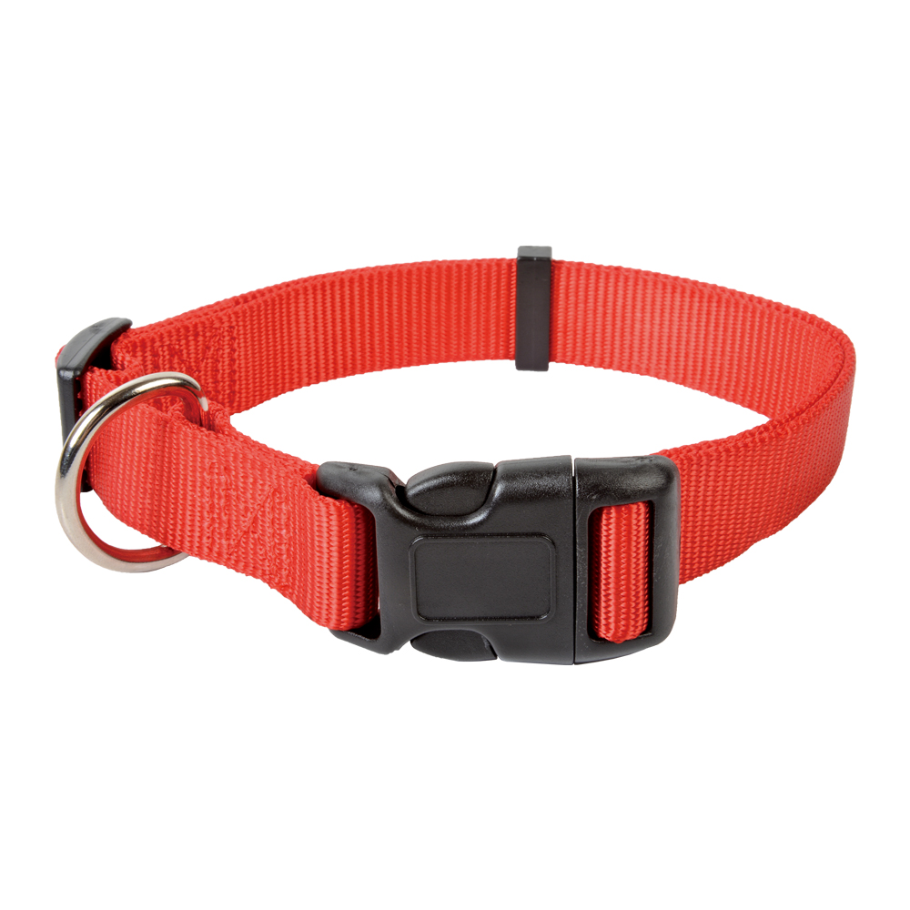 Adjustable Nylon Collar with Buckle / D-Ring