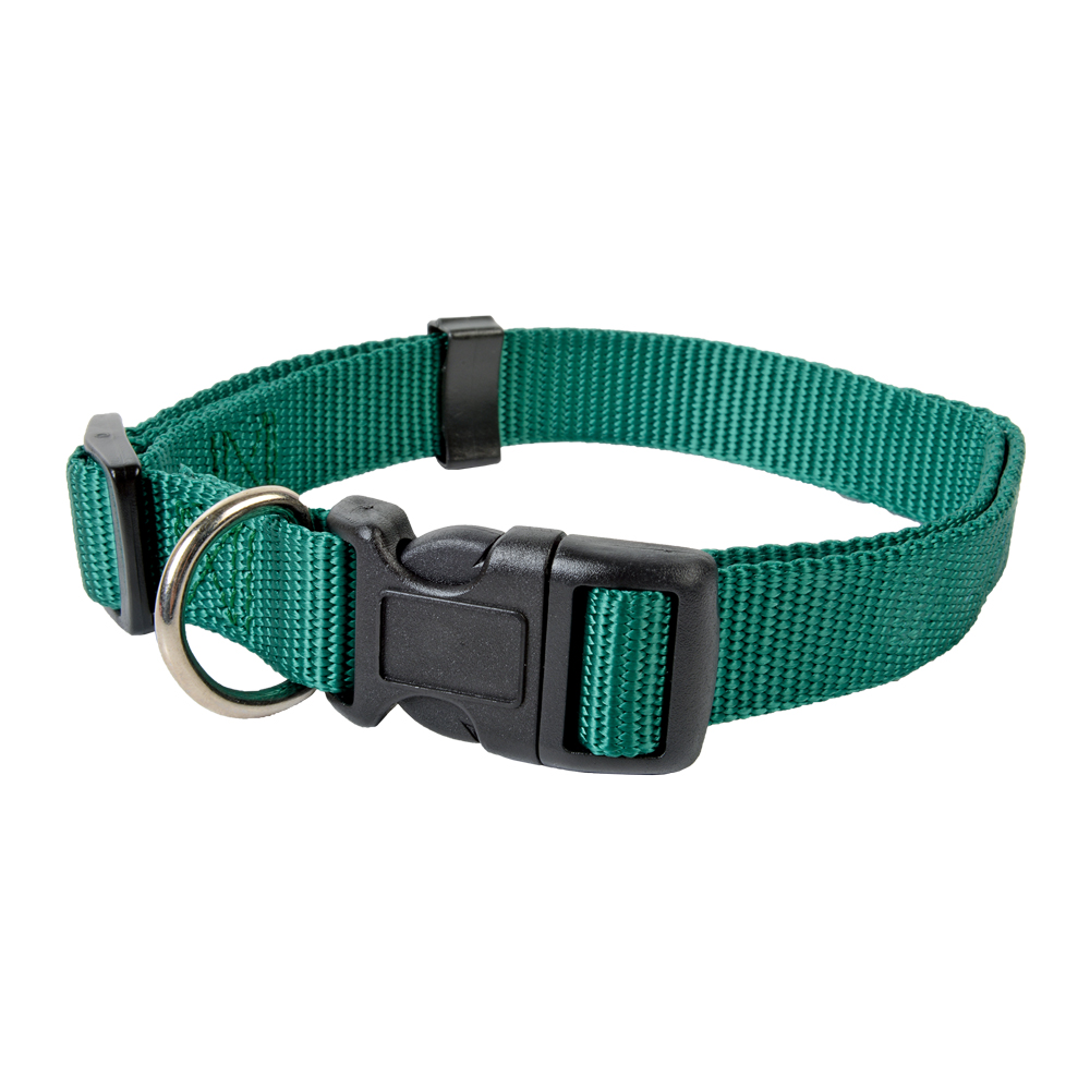 Adjustable Nylon Collar with Buckle / D-Ring