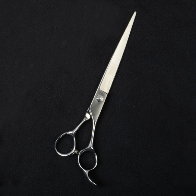 Stainless Steel Straight Shear