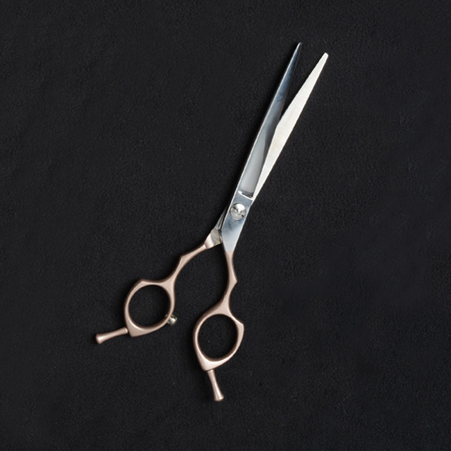 Stainless Steel Straight Shear